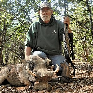 Hunting Warthog