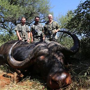 Hunting Buffalo in South Africa