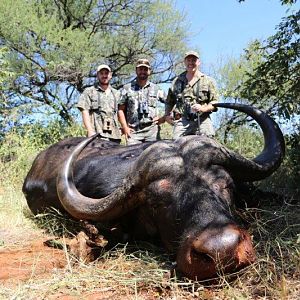 South Africa Hunt Cape Buffalo