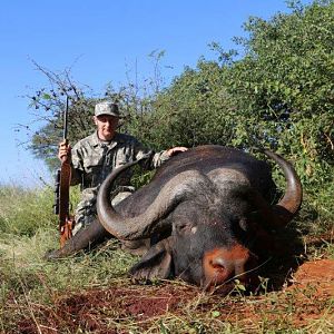 South Africa Hunting Buffalo