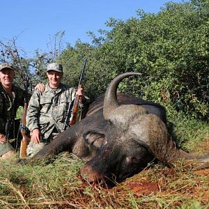 Cape Buffalo Hunt South Africa