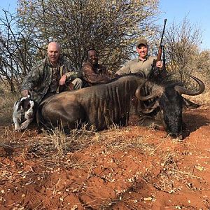 Hunt Blue Wildebeest in South Africa