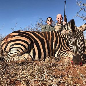 South Africa Hunt Burchell's Plain Zebra