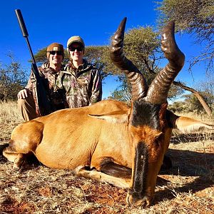 South Africa Hunting Red Hartebeest