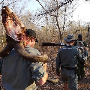 Zimbabwe Hunt Kudu