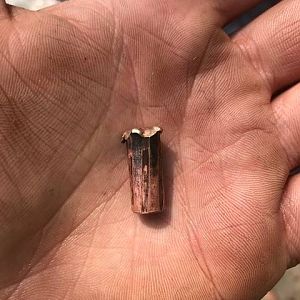 Recovered Bullet