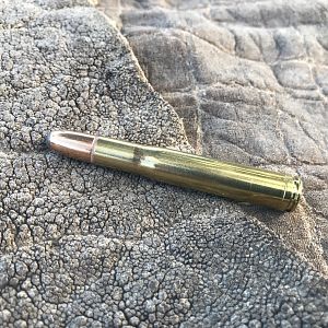 .400 H&H Bullet on Elephant Skin