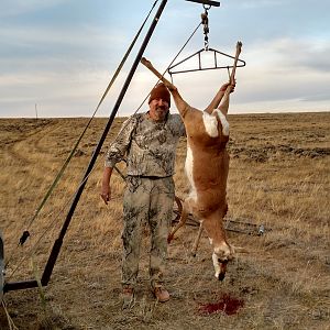 Antilope Hunting