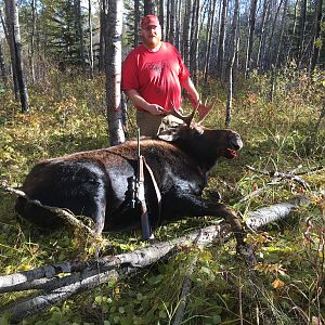 Moose Hunting