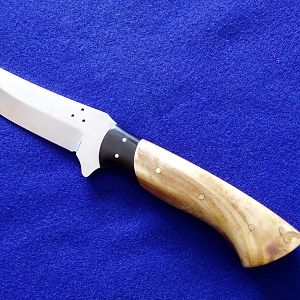 Buffalo Skinner Knife with Eucalyptus Root handles over curve backed Buffalo Horn bolsters