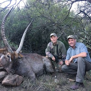 Waterbuck Hunt South Africa