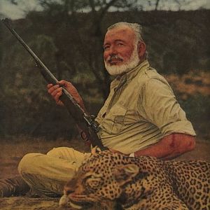 Hemingway Hunt Leopard