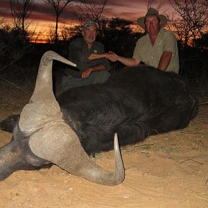 Hunting Cape Buffalo in South Africa