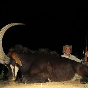 South Africa Hunt Sable Antelope