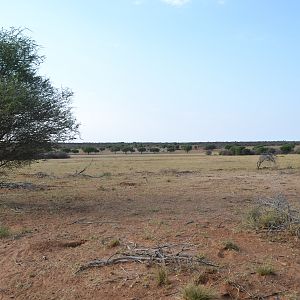 Hunting in Namibia