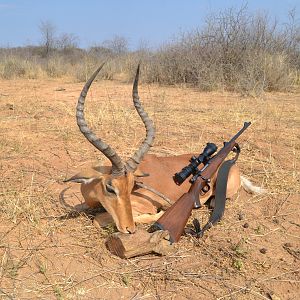 Impala Hunt Namibia