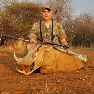 Warthog Hunt South Africa