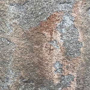 Rock Paintings