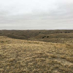 Deer & Pronghorn Hunt Wyoming USA