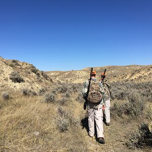 Wyoming USA Hunting Deer & Pronghorn