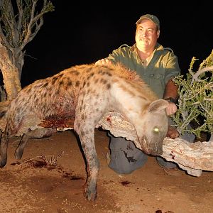 Hunt Spotted Hyena in South Africa