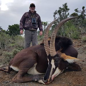 Hunting Sable in South Africa