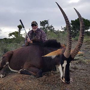 Sable Antelope Hunt South Africa