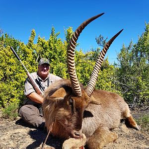 Hunt Waterbuck in South Africa