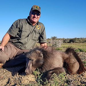 Baboon Hunt South Africa