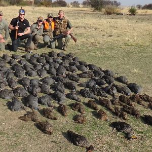 Wing Shooting in South Africa