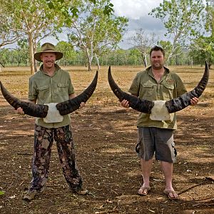 Hunt Asiatic Water Buffalo in Australia