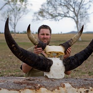 Australia Hunt Asiatic Water Buffalo & Scrub Bull