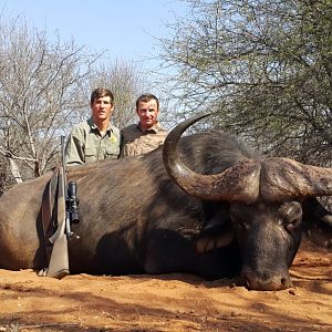 Buffalo Hunt South Africa