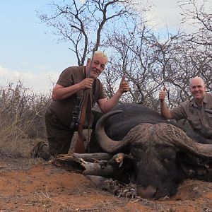 Cape Buffalo Hunting South Africa