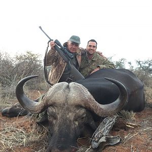 South Africa Hunt Cape Buffalo