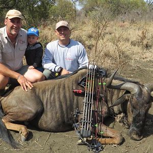 Bow Hunting Blue Wildebeest in South Africa