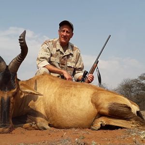 South Africa Hunting Red Hartebeest