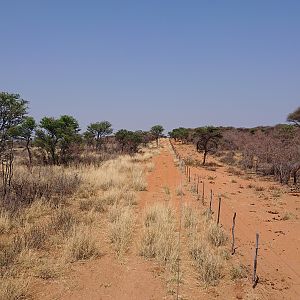 Namibia Landscape