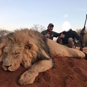 Hunting Lion in South Africa