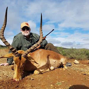 South Africa Hunt Impala