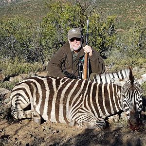 South Africa Hunting Burchell's Plain Zebra