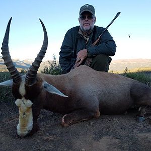 South Africa Hunt Blesbok