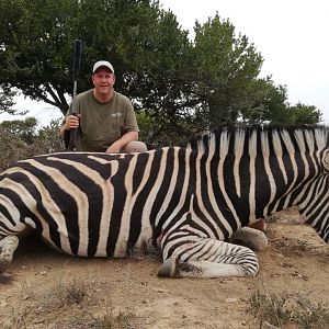 South Africa Hunting Burchell's Plain Zebra