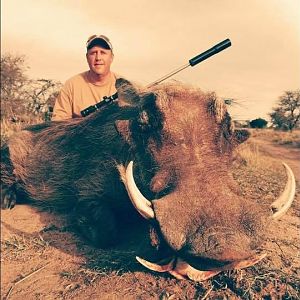 South Africa Hunting Warthog