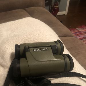 Swarovski 8x30 Binoculars