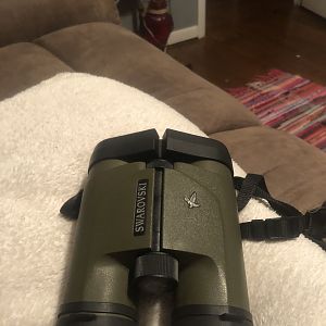 Swarovski 8x30 Binoculars