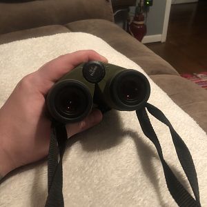 Swarovski 8x30 Binoculars