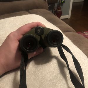 Swarovski 8x30 Binoculars