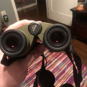 Swarovski 8x30 Binoculars