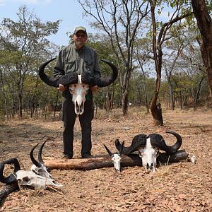 Tanzania Hunting Lichtenstein's Hartebeest,  Reedbuck &  Cape Buffalo